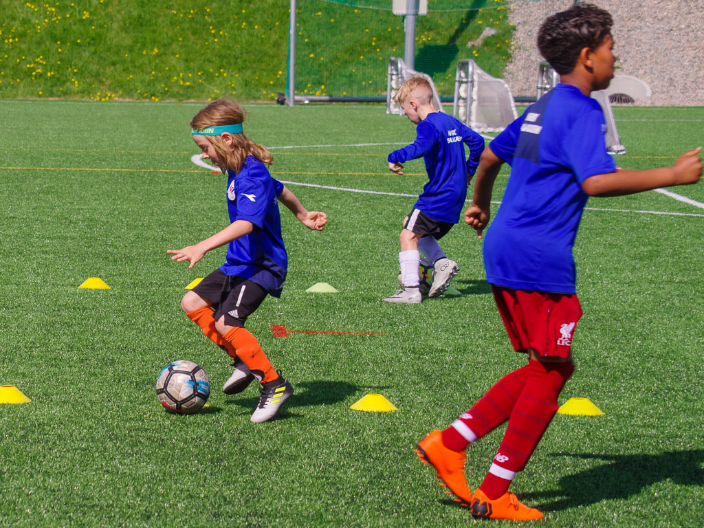 Pentax K-1 / 19 Pentax K-1   19