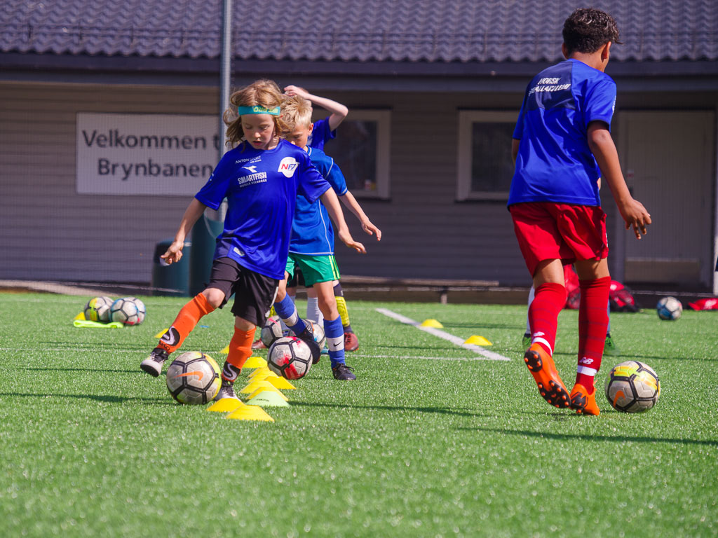 Pentax K-1 / 19 Pentax K-1   19