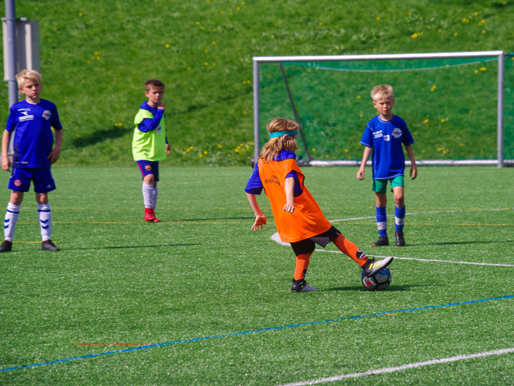 Pentax K-1 / 19 Pentax K-1   19