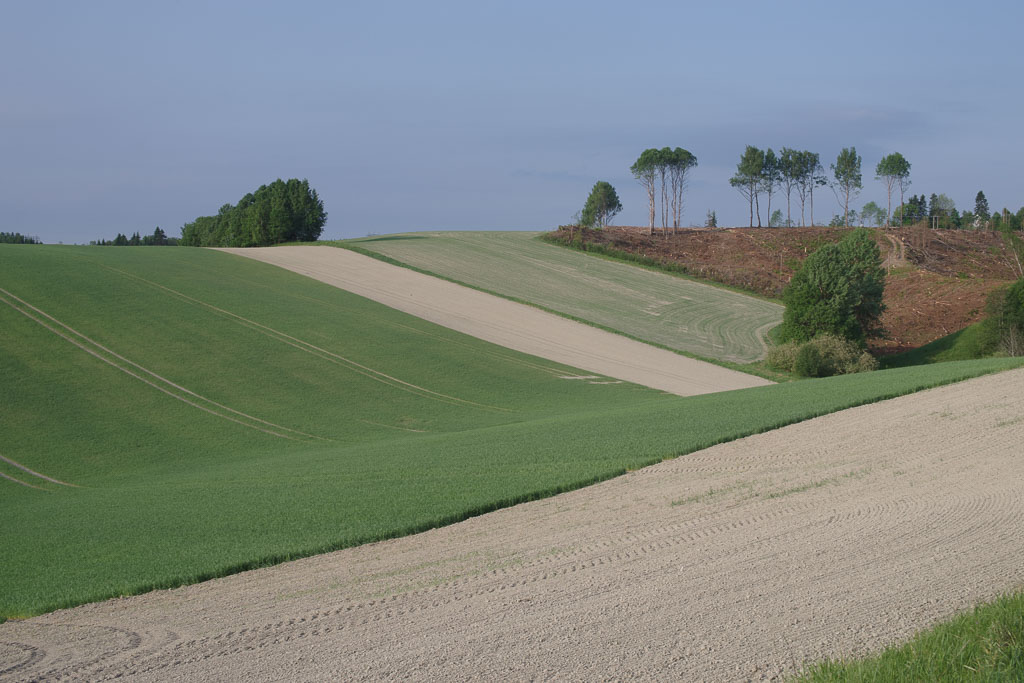 Pentax K-1 / 29 Pentax K-1   29