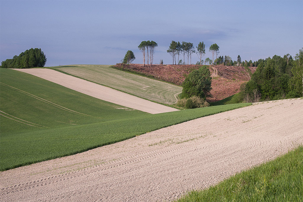 Pentax K-1 / 29 Pentax K-1   29