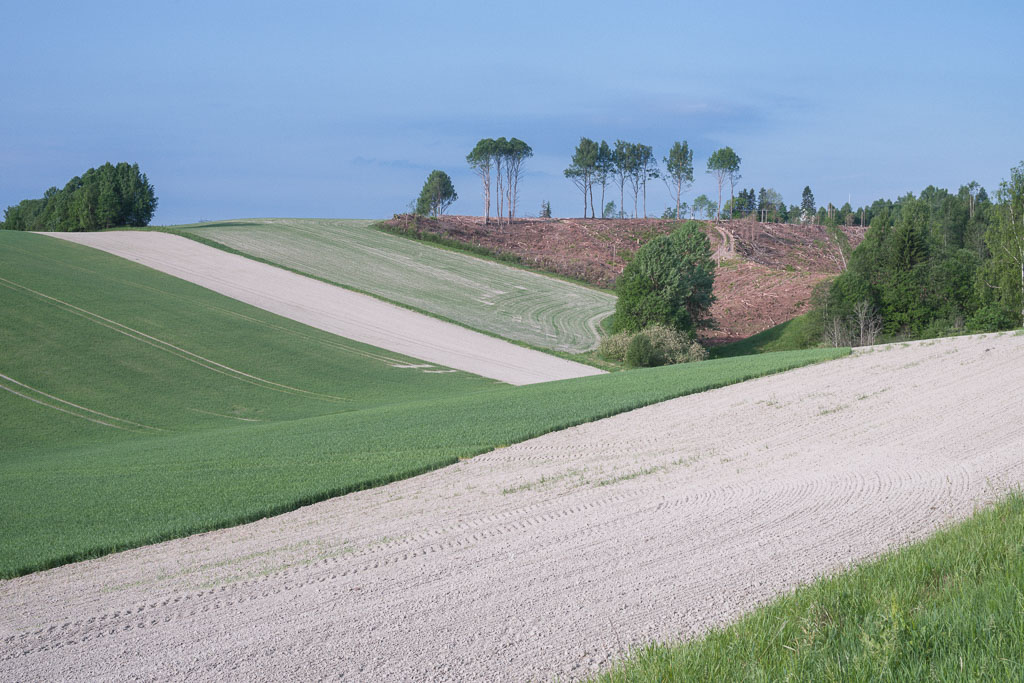 Pentax K-1 / 29 Pentax K-1   29
