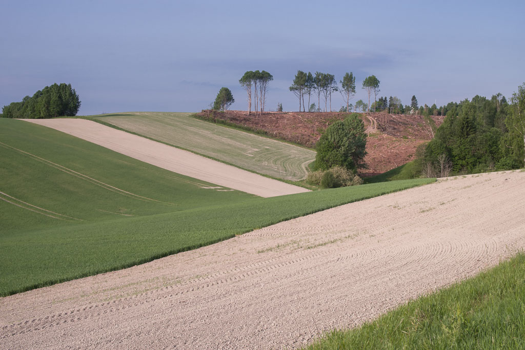 Pentax K-1 / 29 Pentax K-1   29