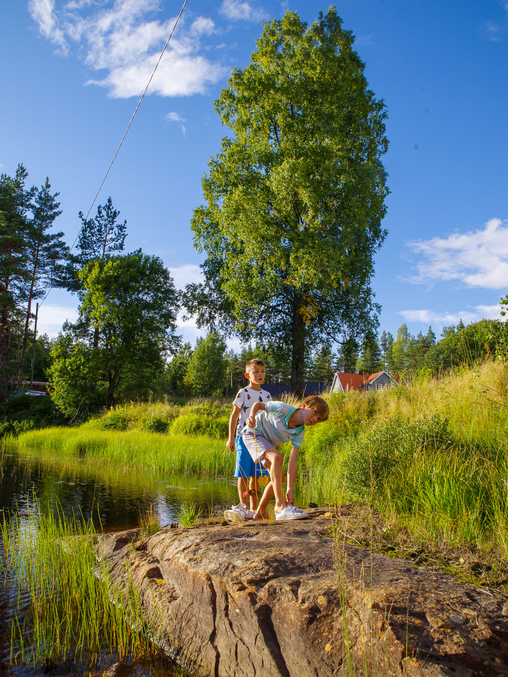Pentax K-1 / 25 Pentax K-1   25