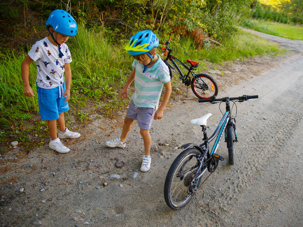 Pentax K-1 / 25 Pentax K-1   25