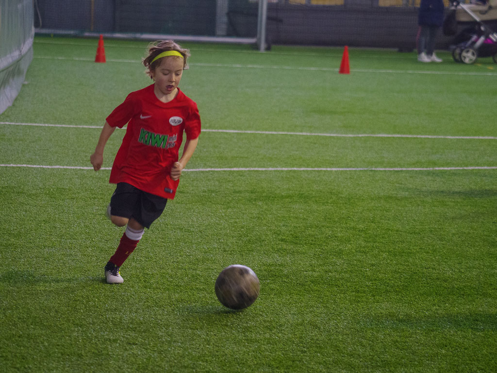 Pentax K-1 / 10 Pentax K-1   10