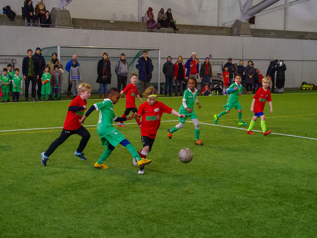 Pentax K-1 / 10 Pentax K-1   10