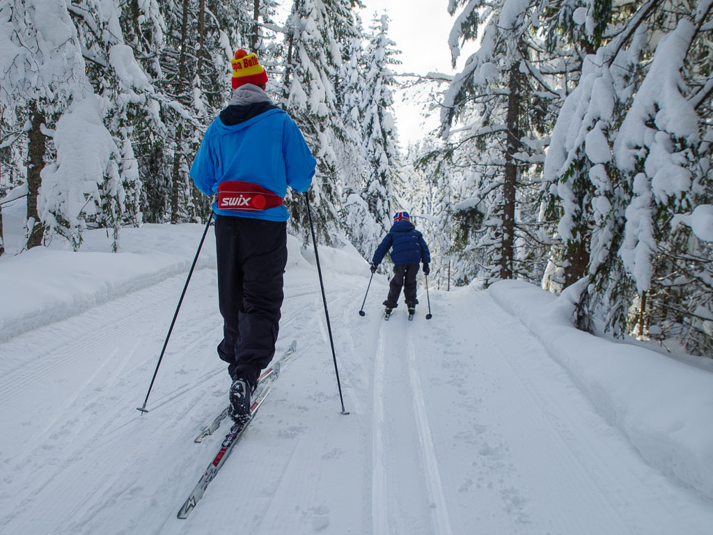 Pentax K-1 / 25 Pentax K-1   25