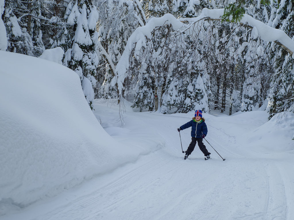 Pentax K-1 / 25 Pentax K-1   25