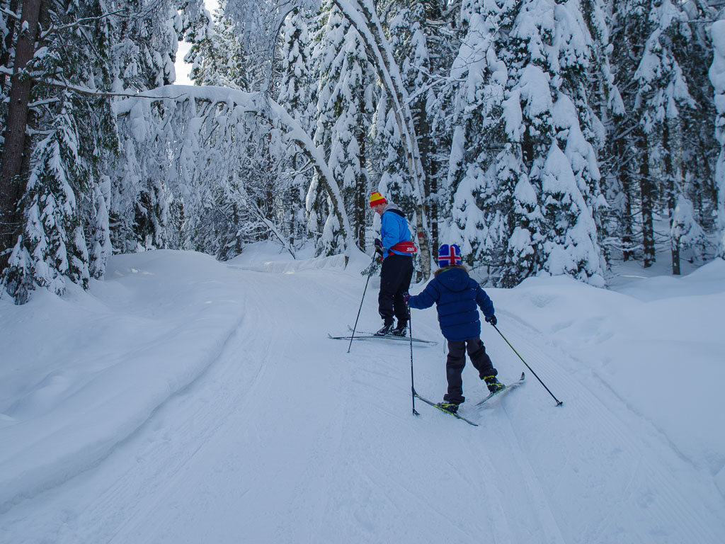 Pentax K-1 / 25 Pentax K-1   25