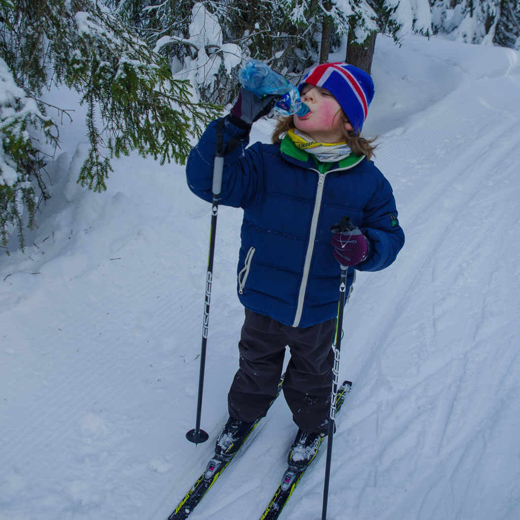 Pentax K-1 / 25 Pentax K-1   25