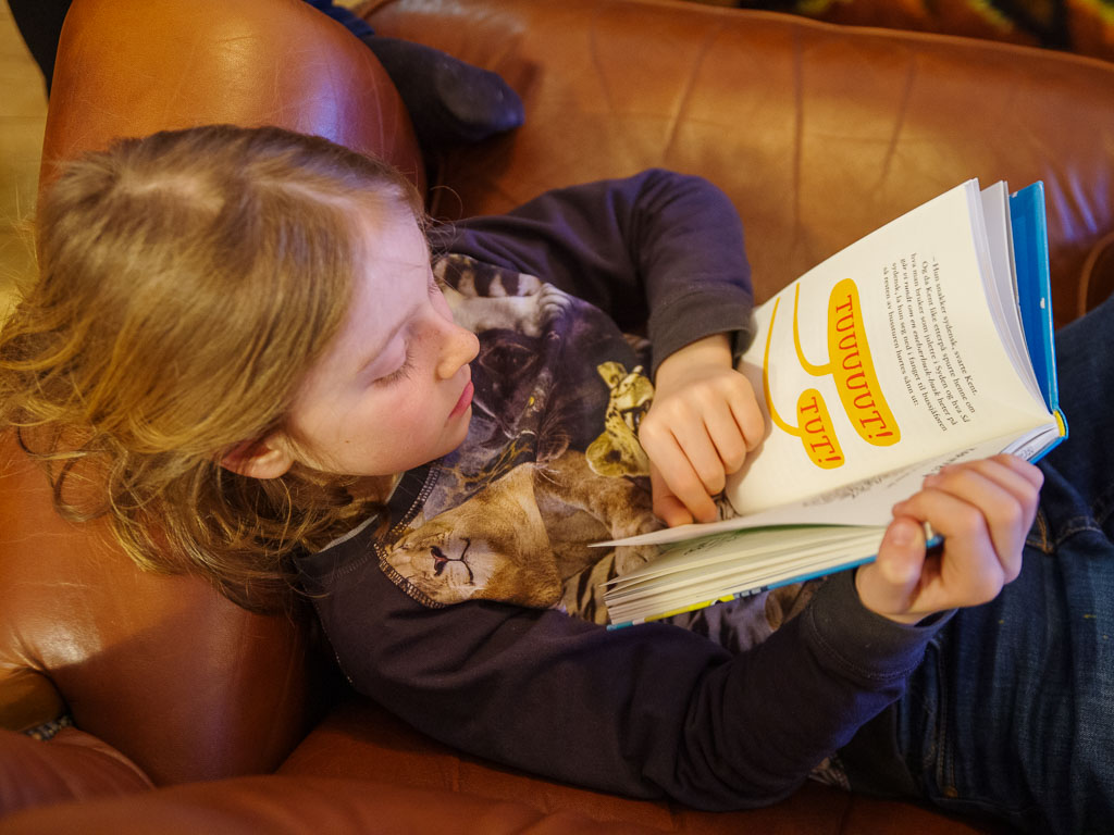 Pentax K-1 / 26 Pentax K-1   26