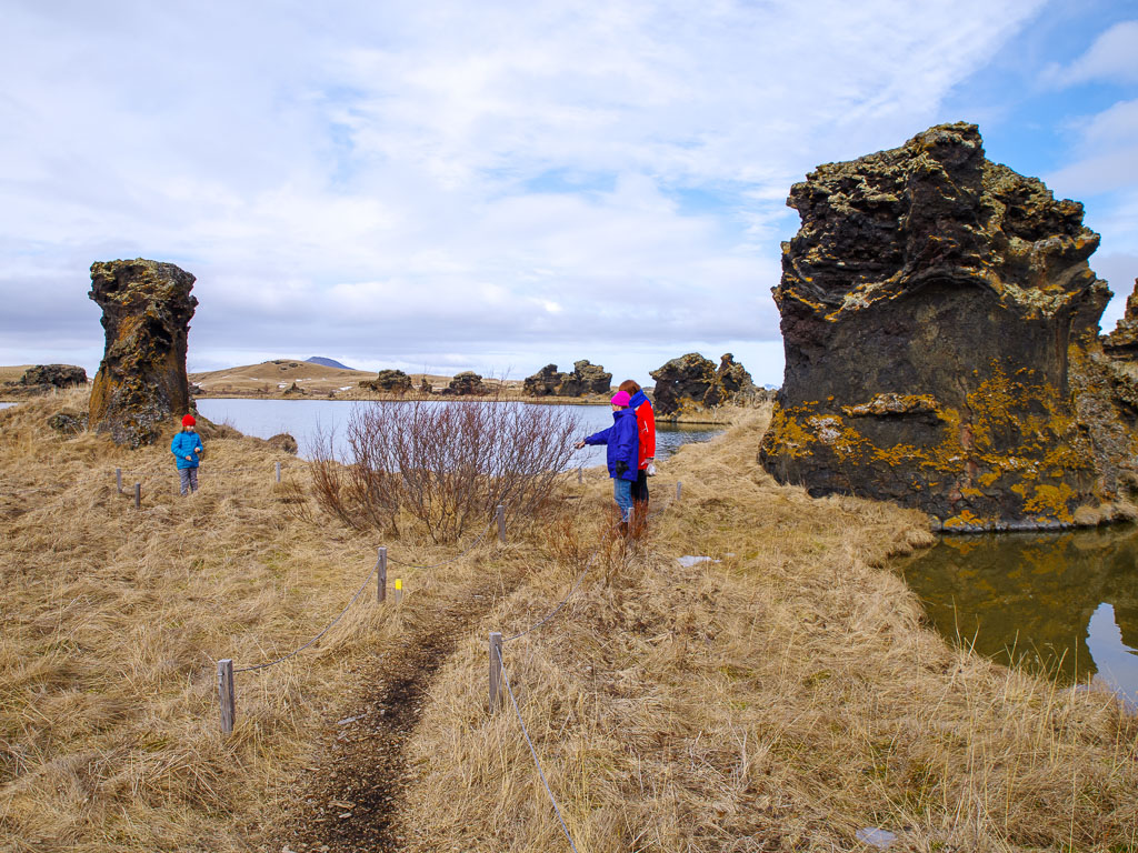 Pentax K-1 / 29 Pentax K-1   29