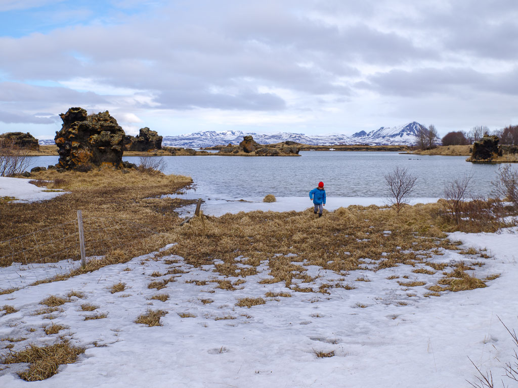 Pentax K-1 / 29 Pentax K-1   29