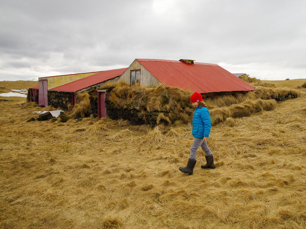 Pentax K-1 / 29 Pentax K-1   29