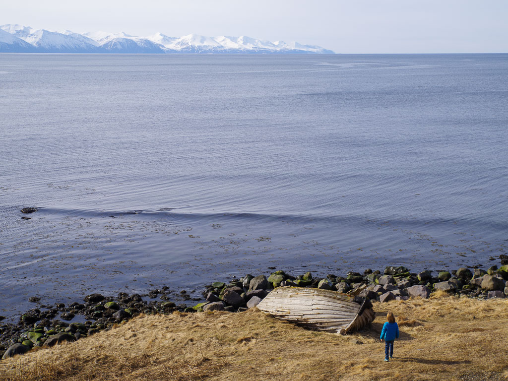 Pentax K-1 / 1 Pentax K-1   1