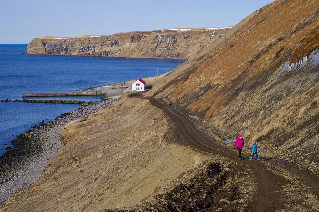 Pentax K-1 / 1 Pentax K-1   1