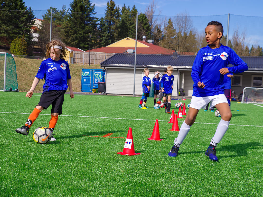 Pentax K-1 / 18 Pentax K-1   18