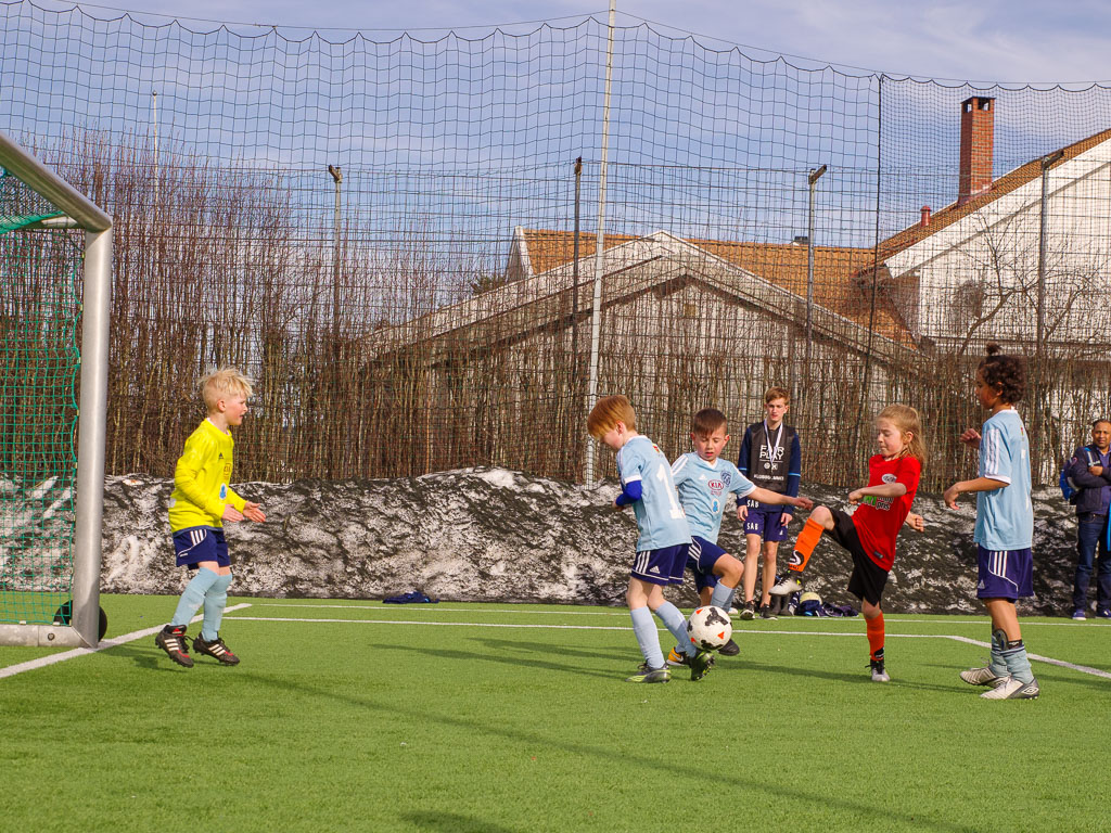 Pentax K-1 / 22 Pentax K-1   22