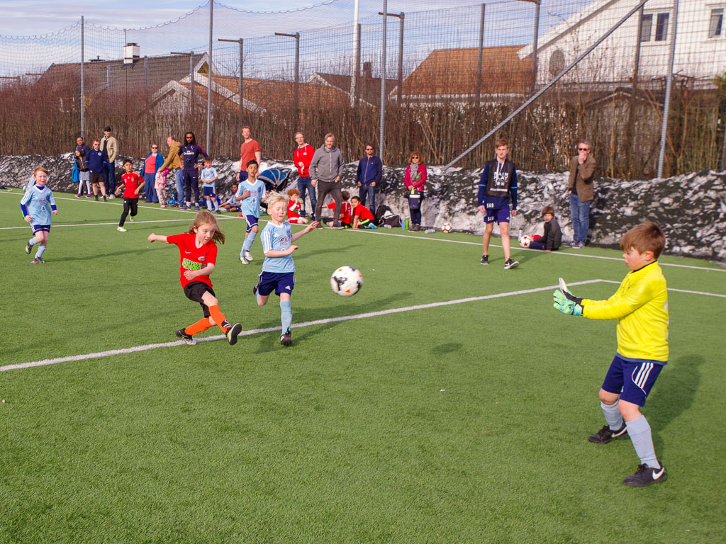 Pentax K-1 / 22 Pentax K-1   22