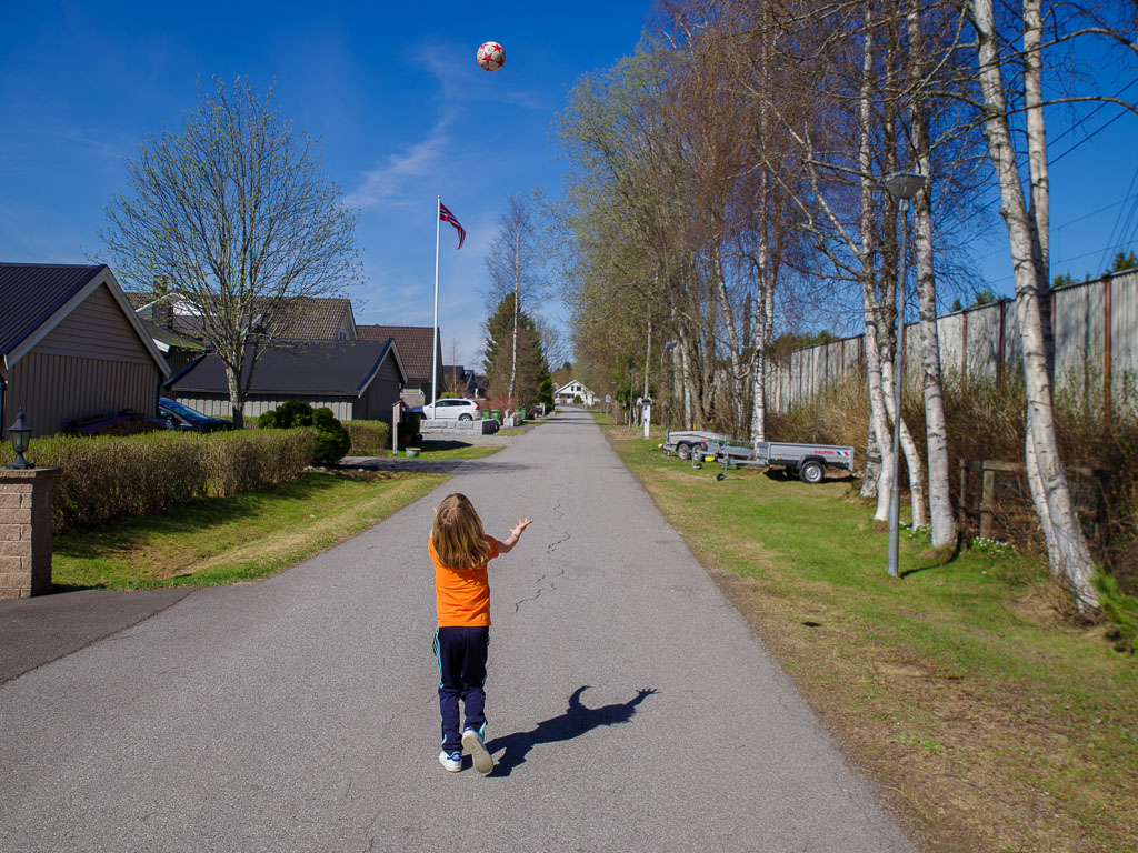 Pentax K-1 / 5 Pentax K-1   5