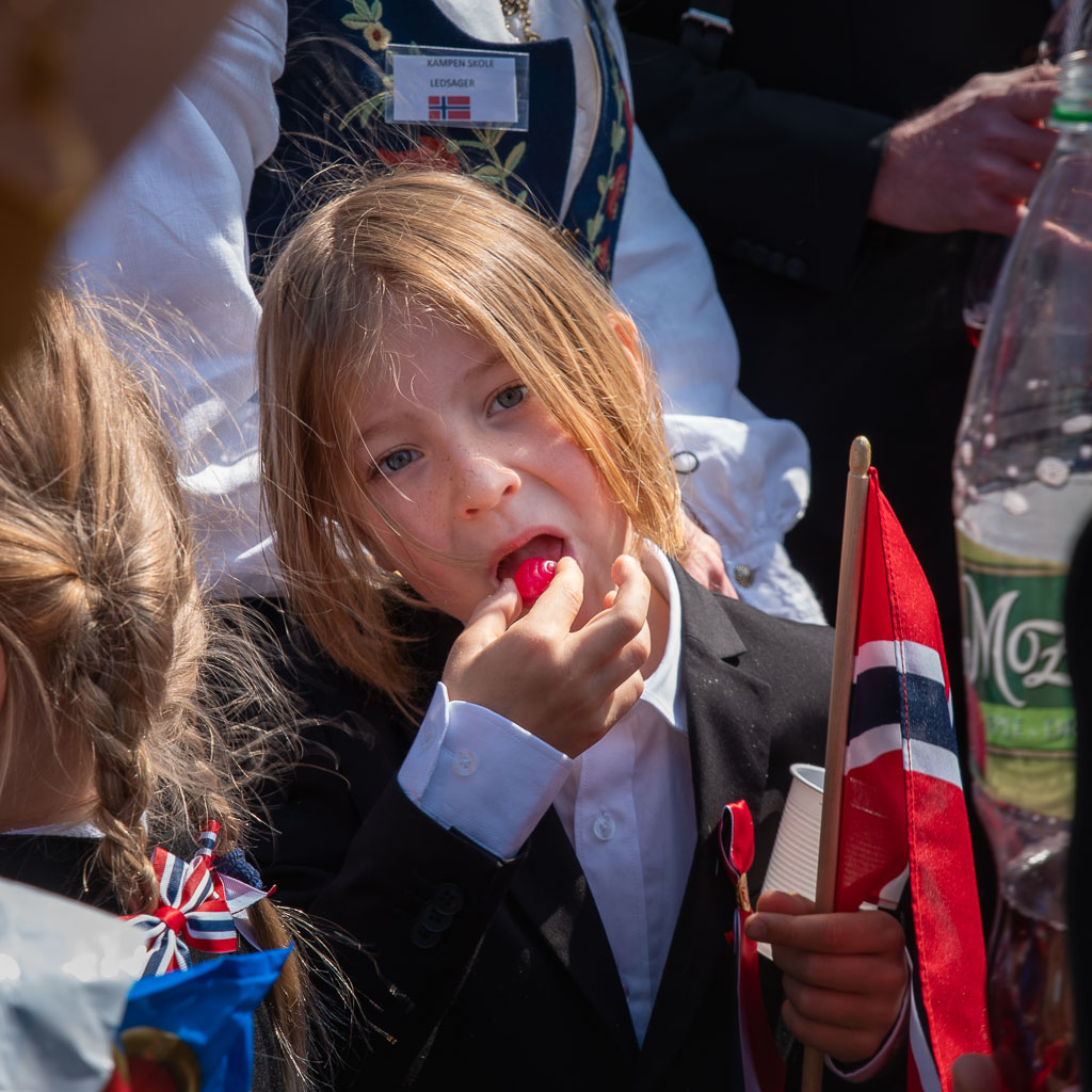 Pentax K-1 / 17 Pentax K-1   17