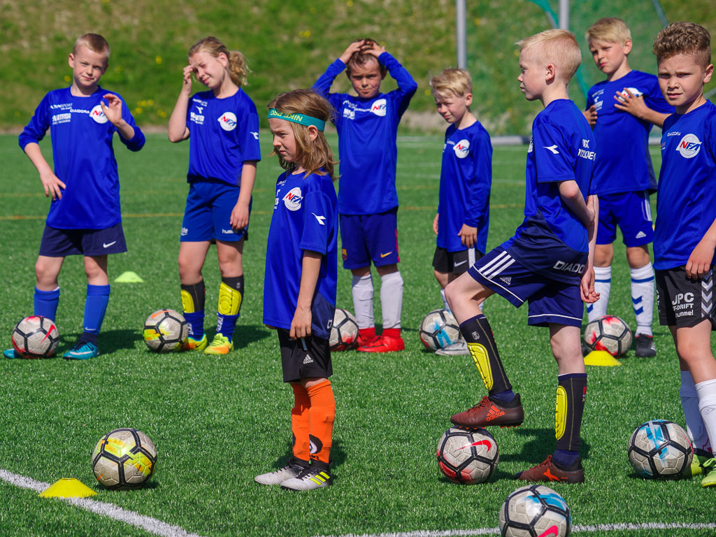 Pentax K-1 / 19 Pentax K-1   19