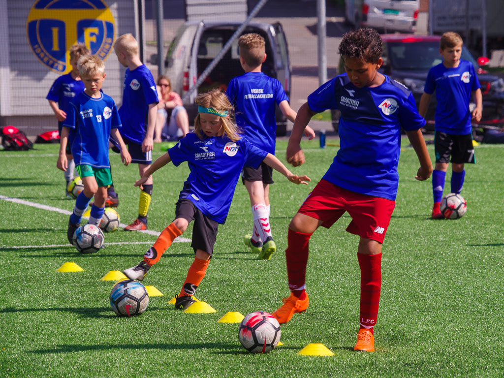 Pentax K-1 / 19 Pentax K-1   19