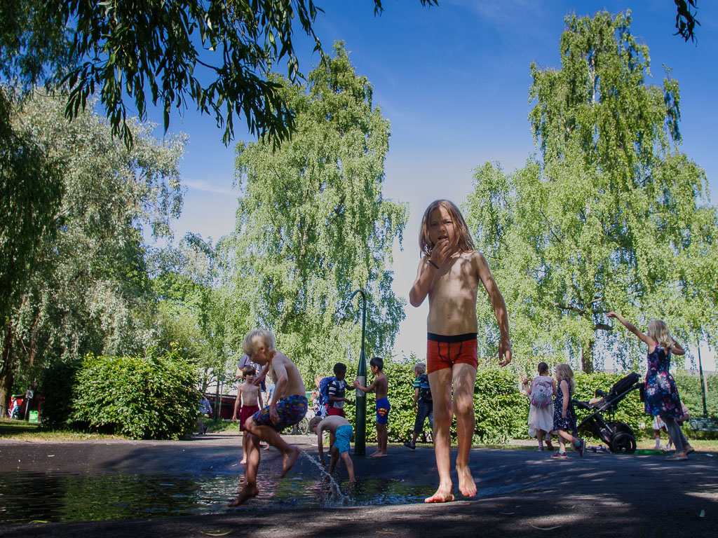 Pentax K-1 / 7 Pentax K-1   7