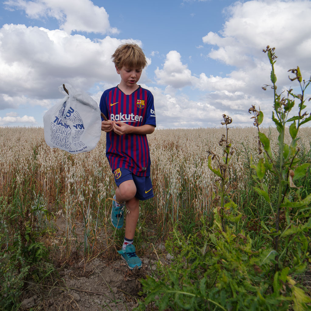 Pentax K-1 / 28 Pentax K-1   28