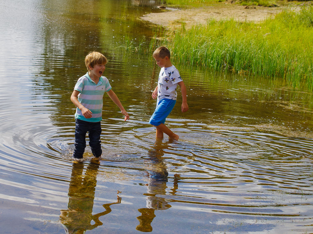 Pentax K-1 / 25 Pentax K-1   25