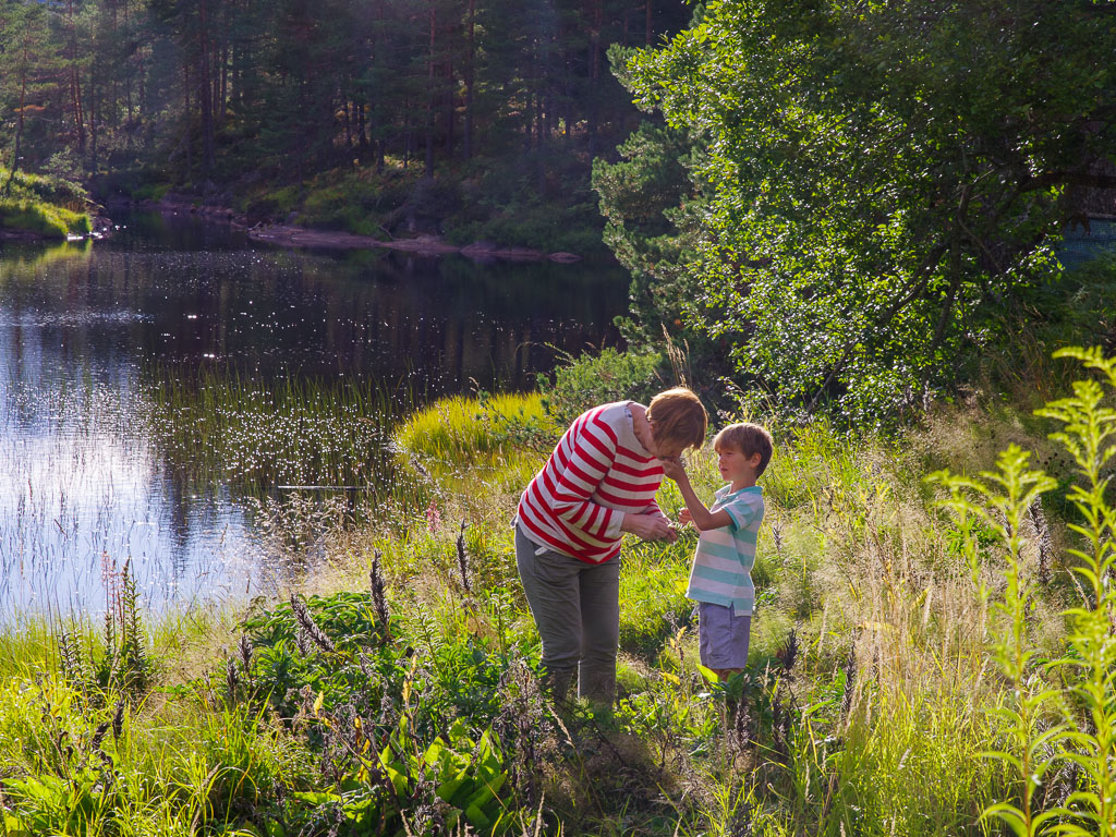 Pentax K-1 / 25 Pentax K-1   25