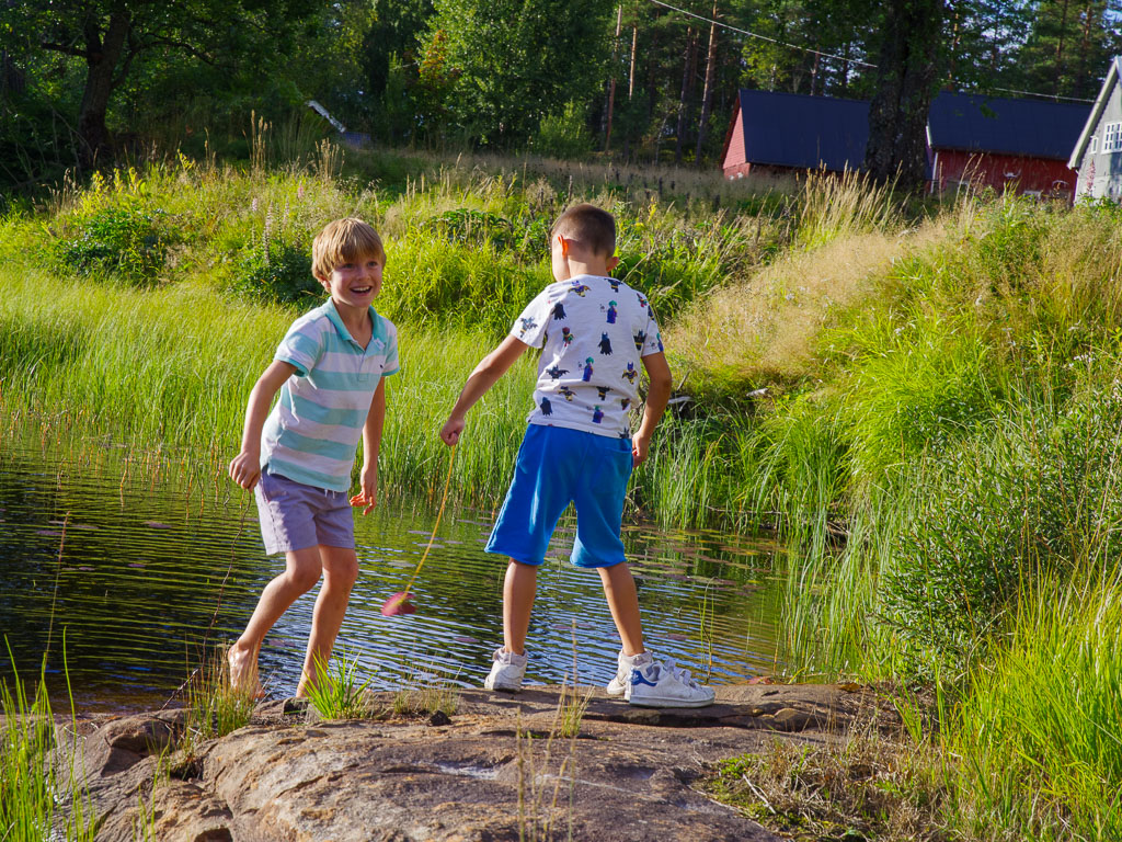 Pentax K-1 / 25 Pentax K-1   25