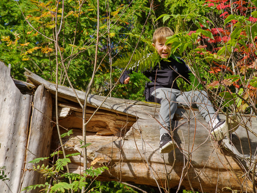 Pentax K-1 / 7 Pentax K-1   7