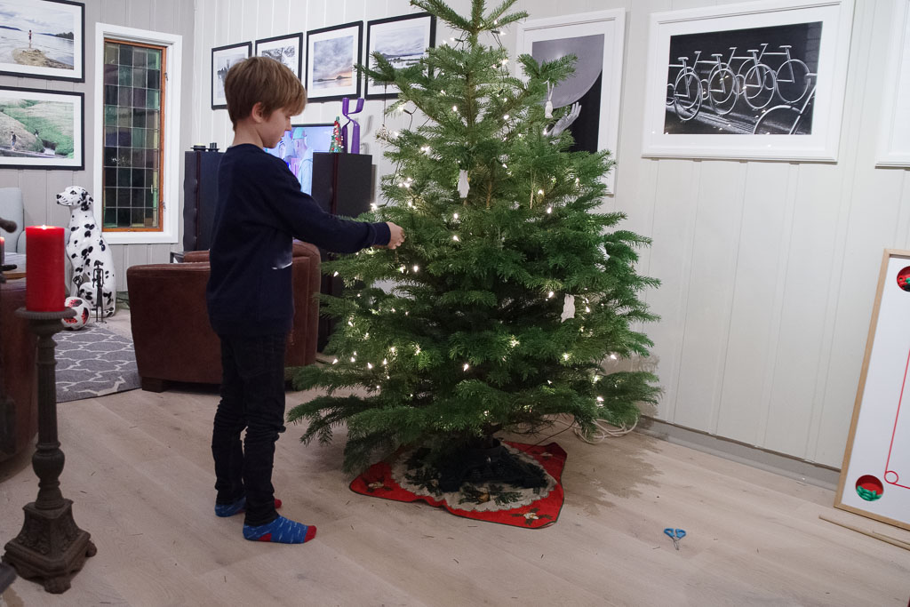 Pentax K-1 / 22 Pentax K-1   22