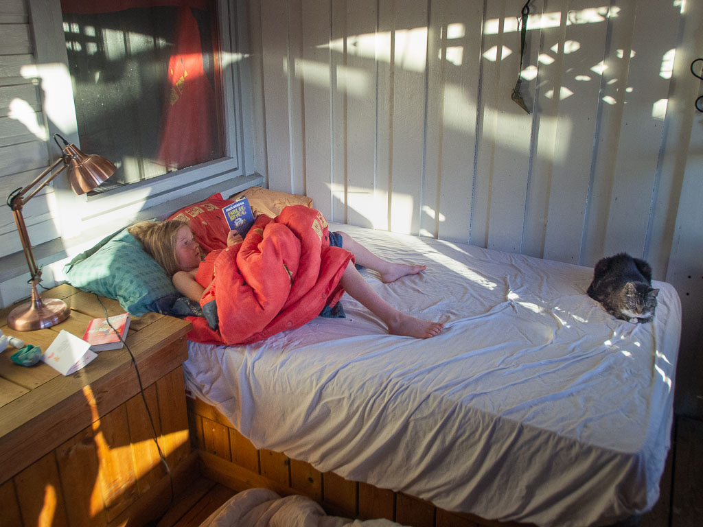 Pentax K-5 / 8 Pentax K-5   8