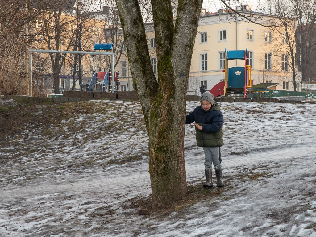 Pentax K-1 / 6 Pentax K-1   6
