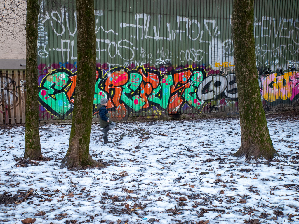 Pentax K-1 / 6 Pentax K-1   6