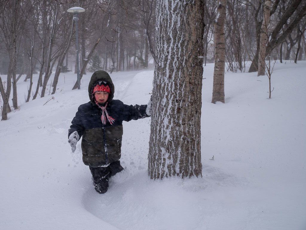 Pentax K-1 / 17 Pentax K-1   17
