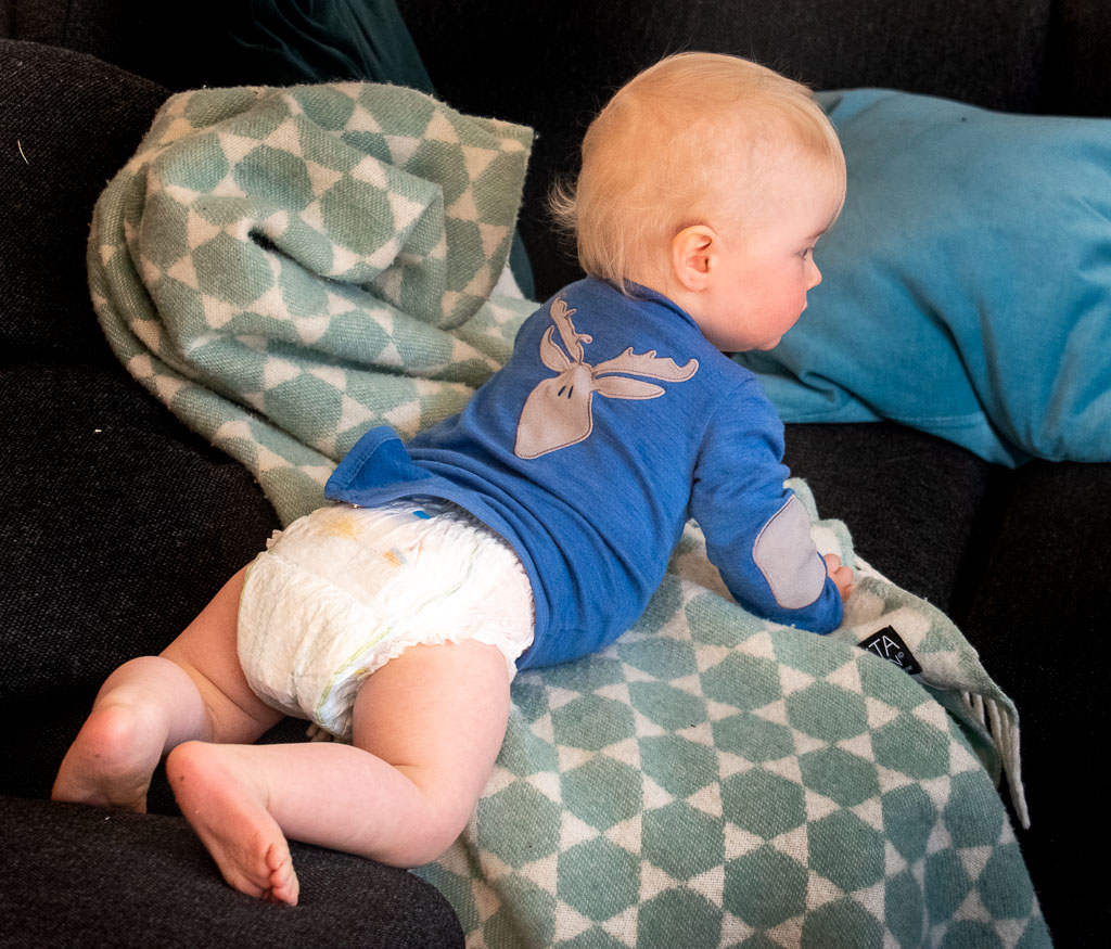 Pentax K-1 / 10 Pentax K-1   10