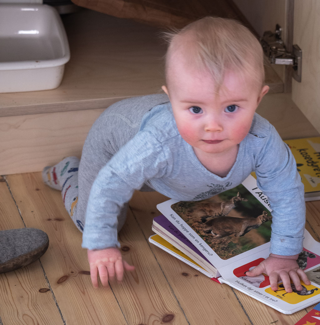 Pentax K-1 / 10 Pentax K-1   10