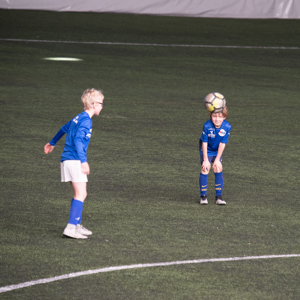 Pentax K-1 / 12 Pentax K-1   12