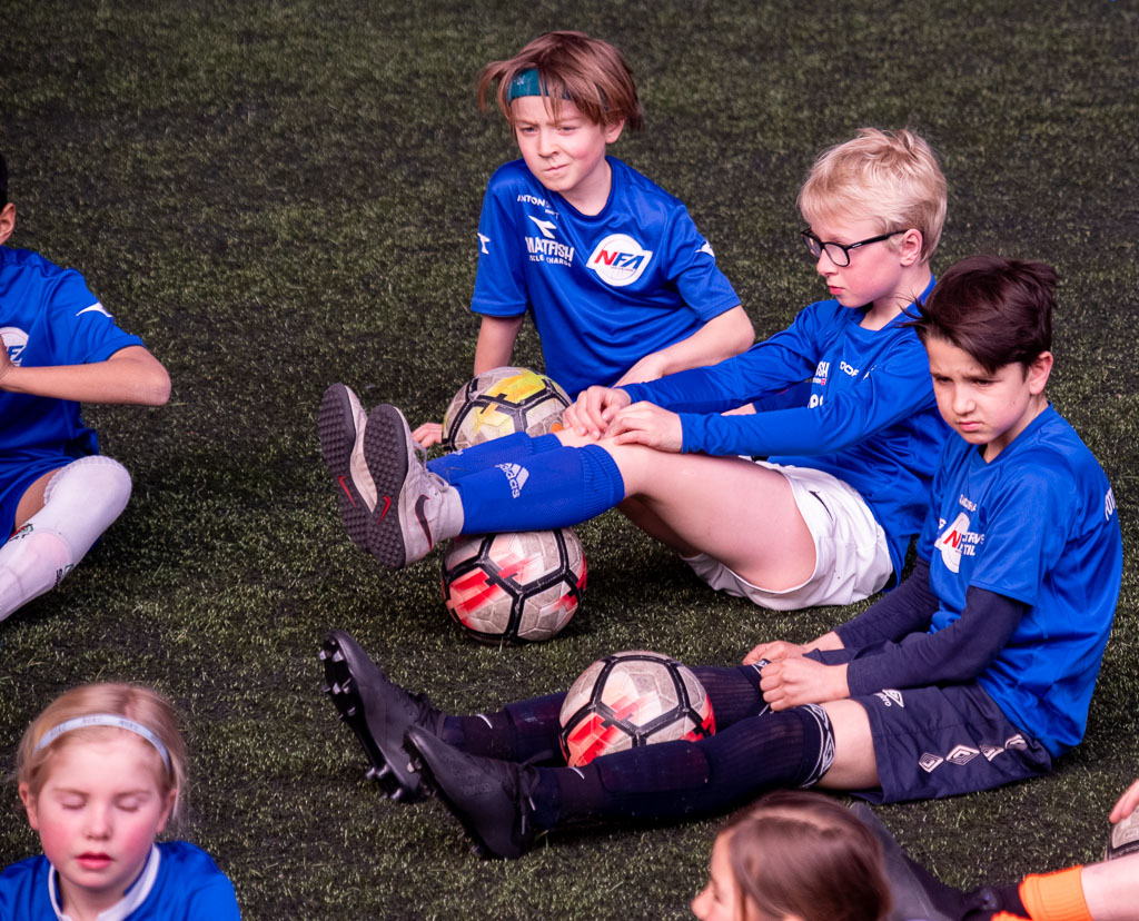 Pentax K-1 / 12 Pentax K-1   12