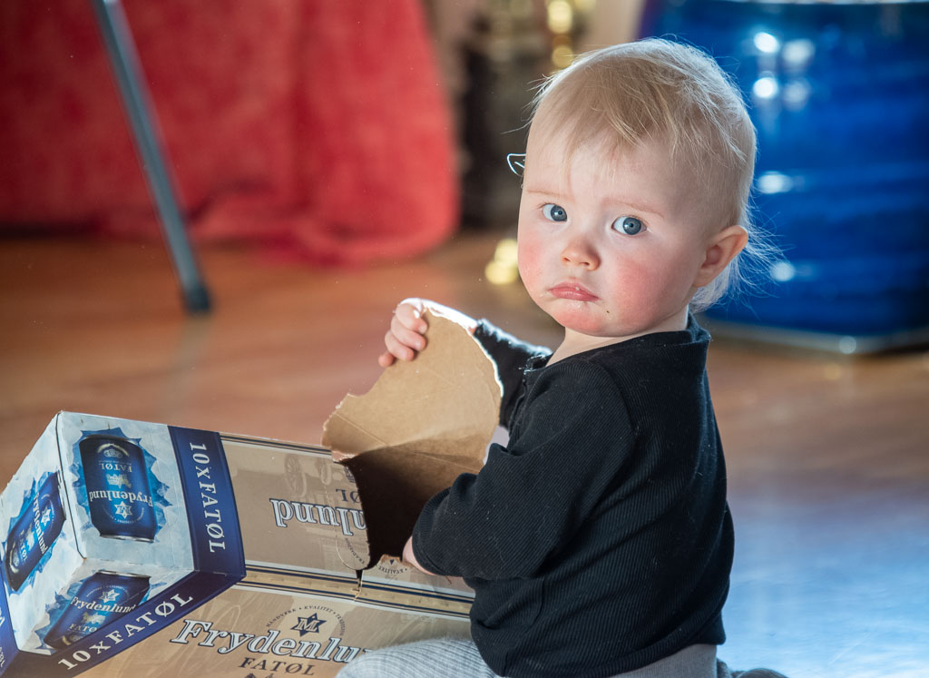 Pentax K-1 / 12 Pentax K-1   12