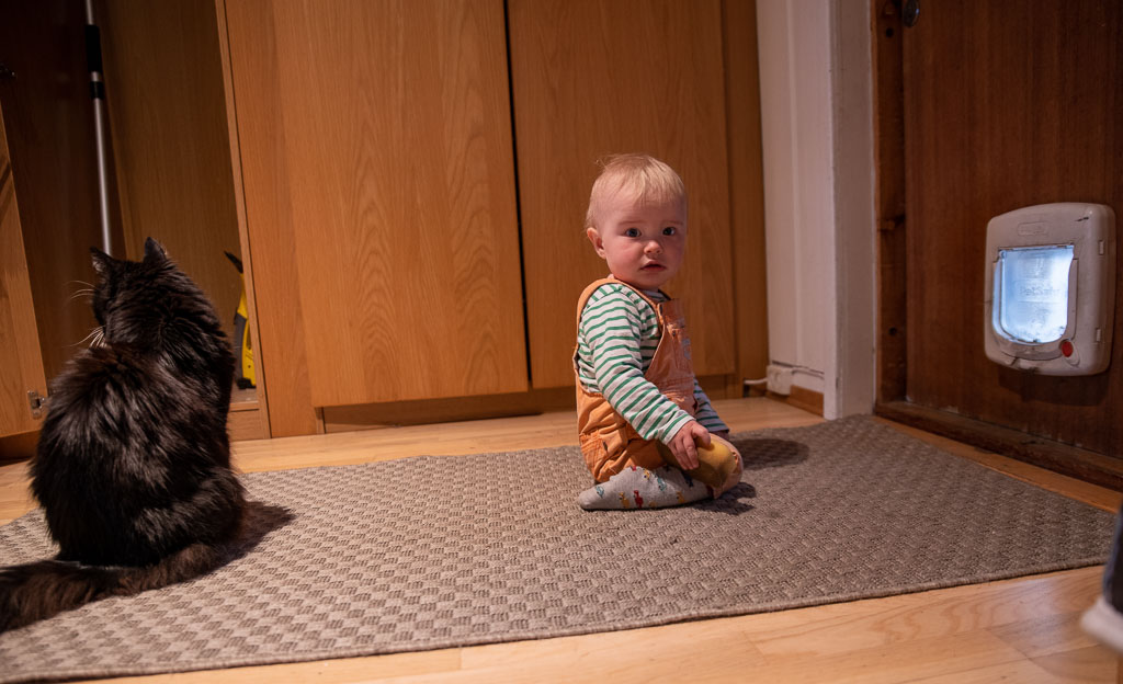 Pentax K-1 / 26 Pentax K-1   26