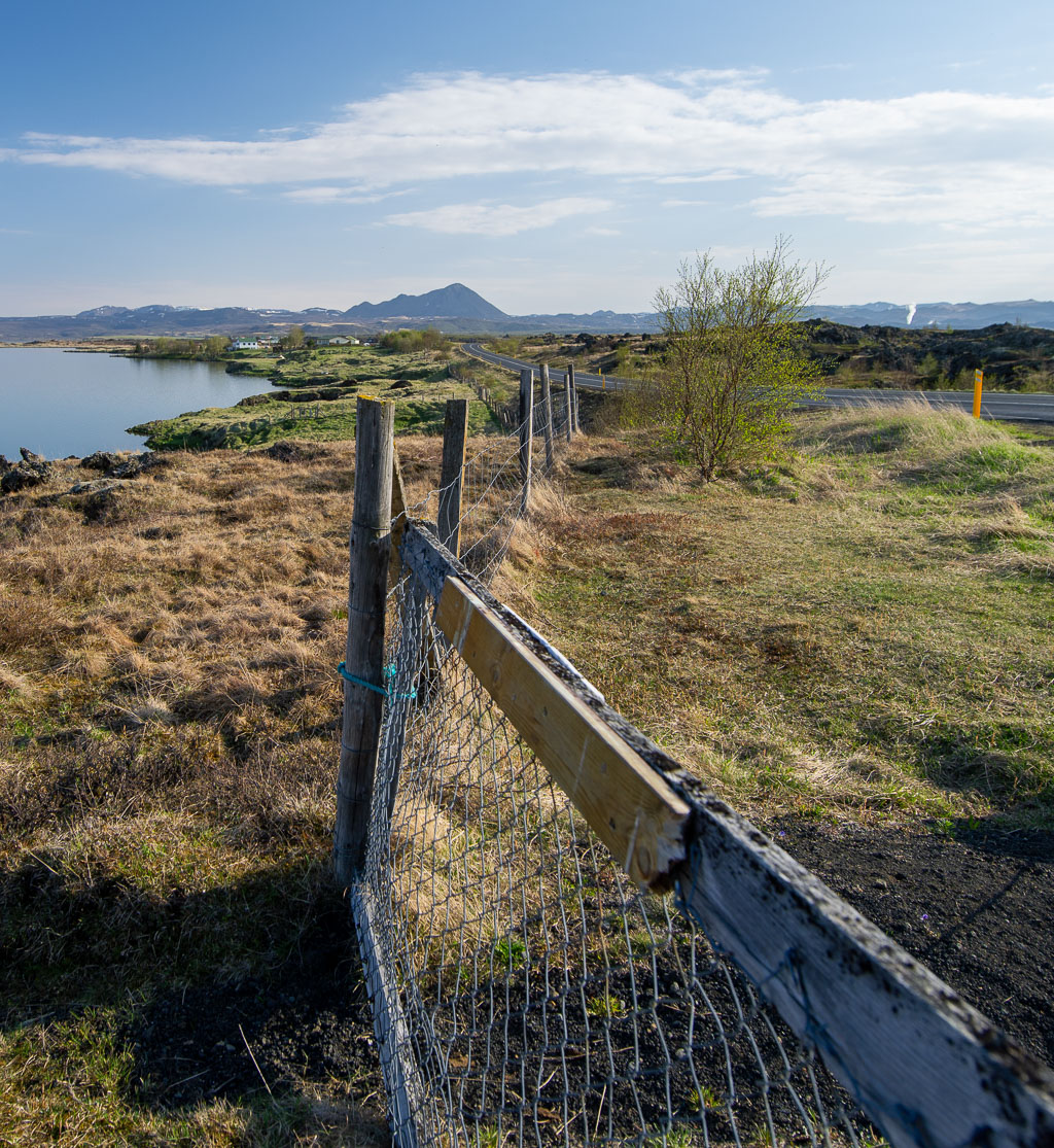 Pentax 645D / 18 Pentax 645D   18