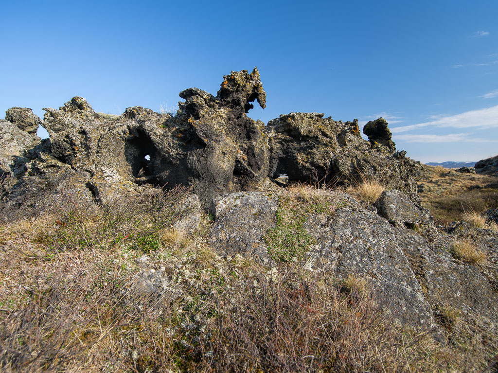 Pentax 645D / 18 Pentax 645D   18