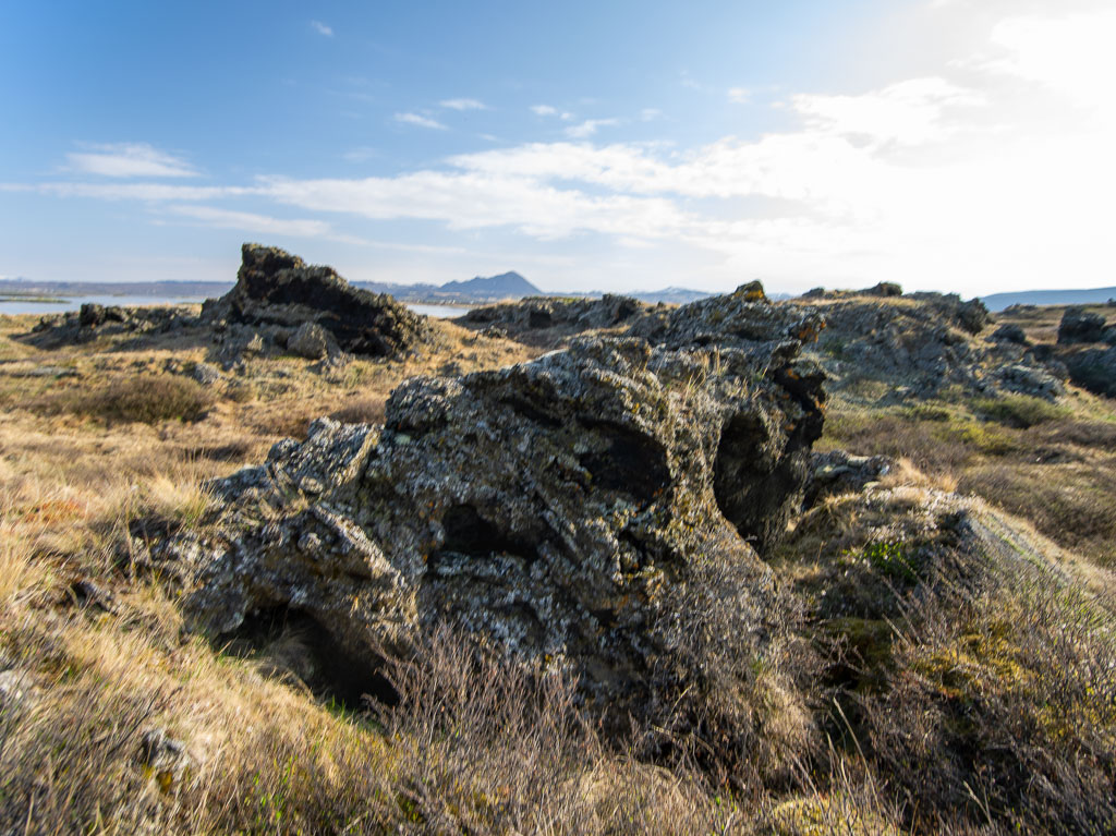 Pentax 645D / 18 Pentax 645D   18