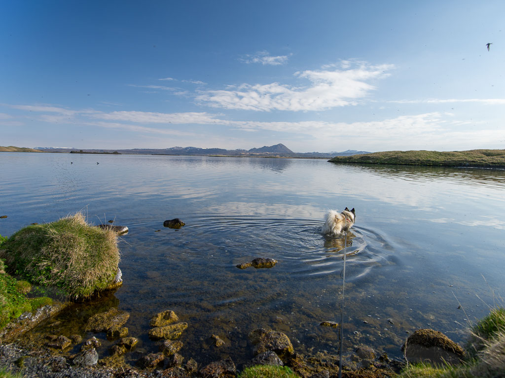 Pentax 645D / 18 Pentax 645D   18