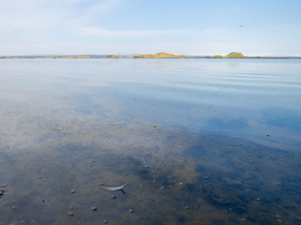 Pentax 645D / 18 Pentax 645D   18